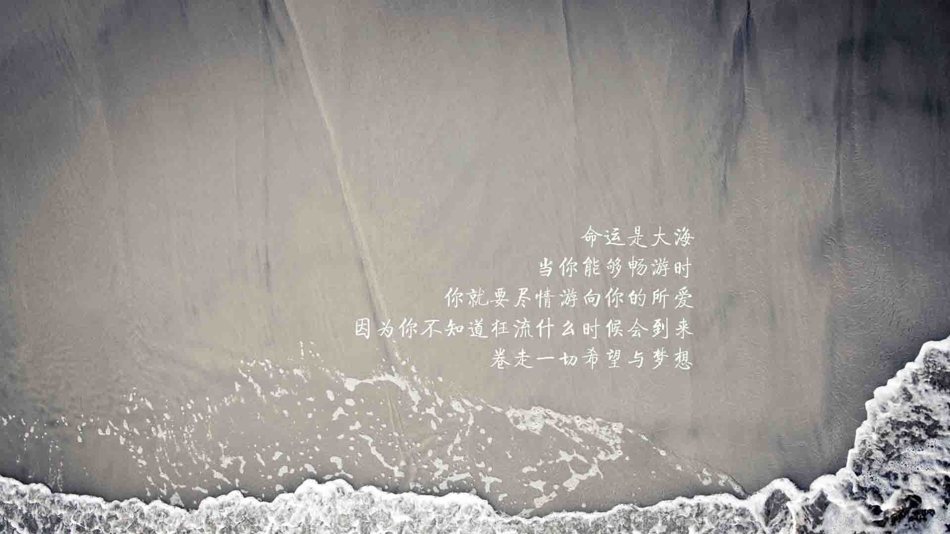 “中超赛场新规实施,提升比赛公平性”,中超赛场要求
