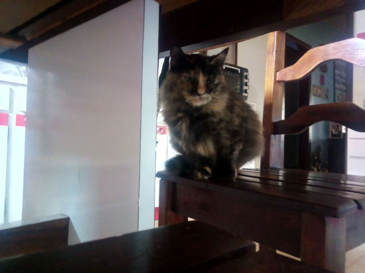 开云-_职业赛场中的团队合作精神_，团队合作职业素养