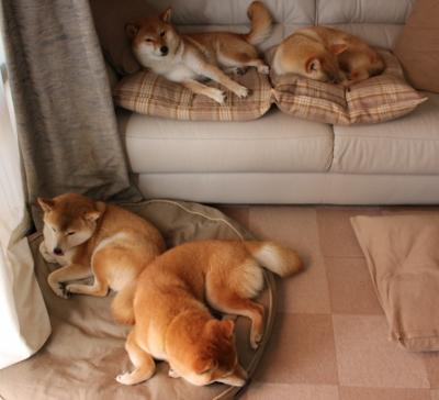 开云体育APP下载-_荣耀时刻：夺冠英雄的瞬间流传千里_，荣耀每届的冠军