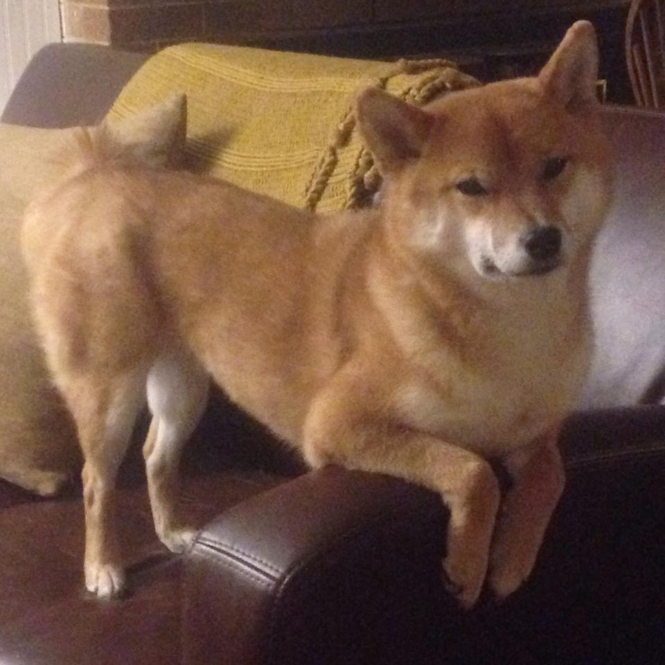 开云棋牌-全国青少年足球夏令营启动，选拔优秀苗子，2020年全国青少年校园足球夏令营